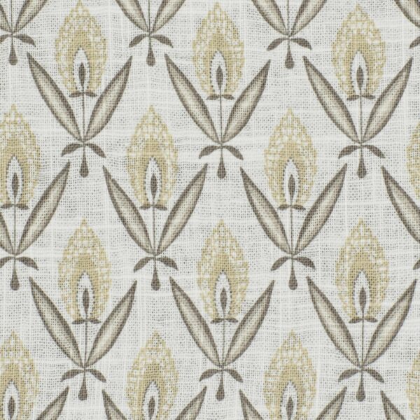 Hart Darcy Colour Bisque Swatch